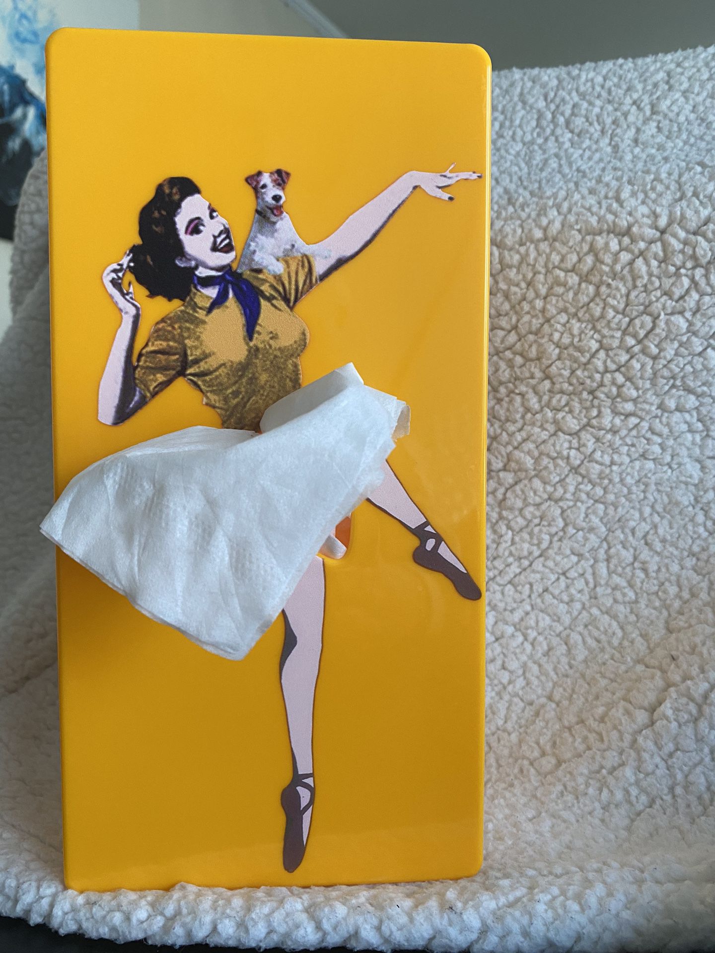 Flying Skirt Tissue Boxes 