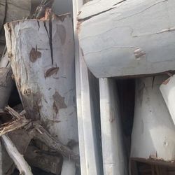 Eucalyptus Trees Cut For Firewood $70 A Band