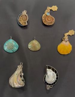 Assorted Ammonite and Shell Pendants