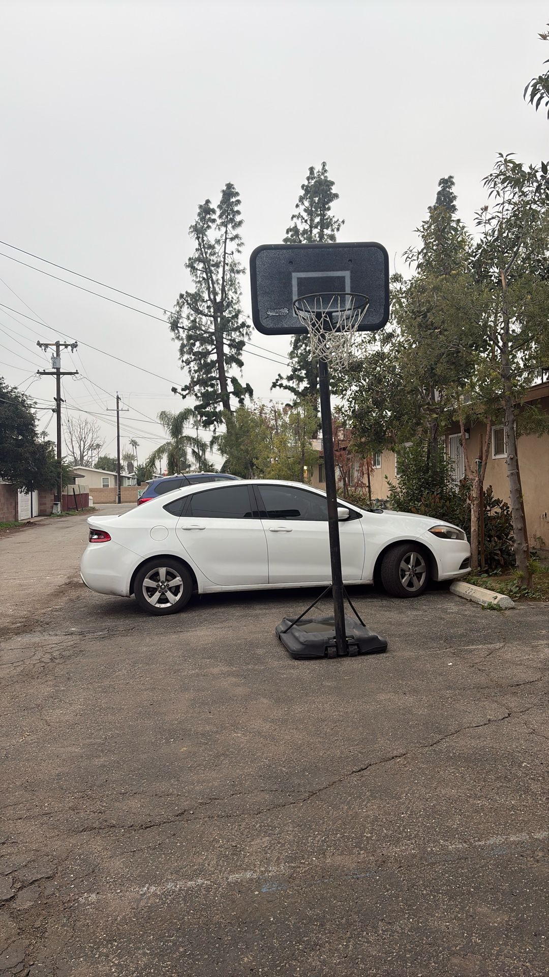 Free Basketball Hoop