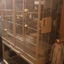 Double Bird Cage
