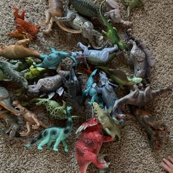 Kids Shoes /toys Cheap Or Trade !! 