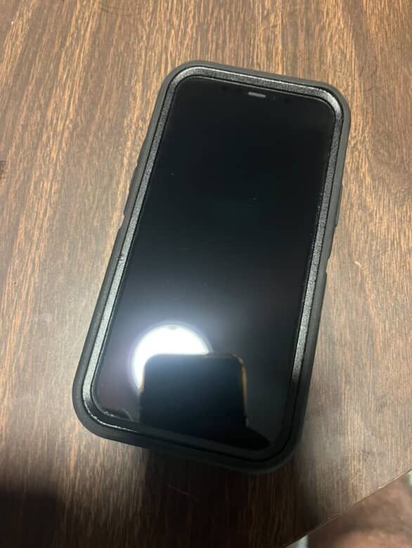 Apple iPhone 12