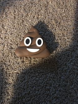 Poop Portable charger