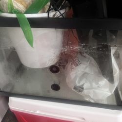 20 Gal Fish Tank & 30 Gal Fish Tank