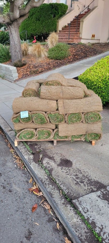 Bluegrass Sod Rolls 