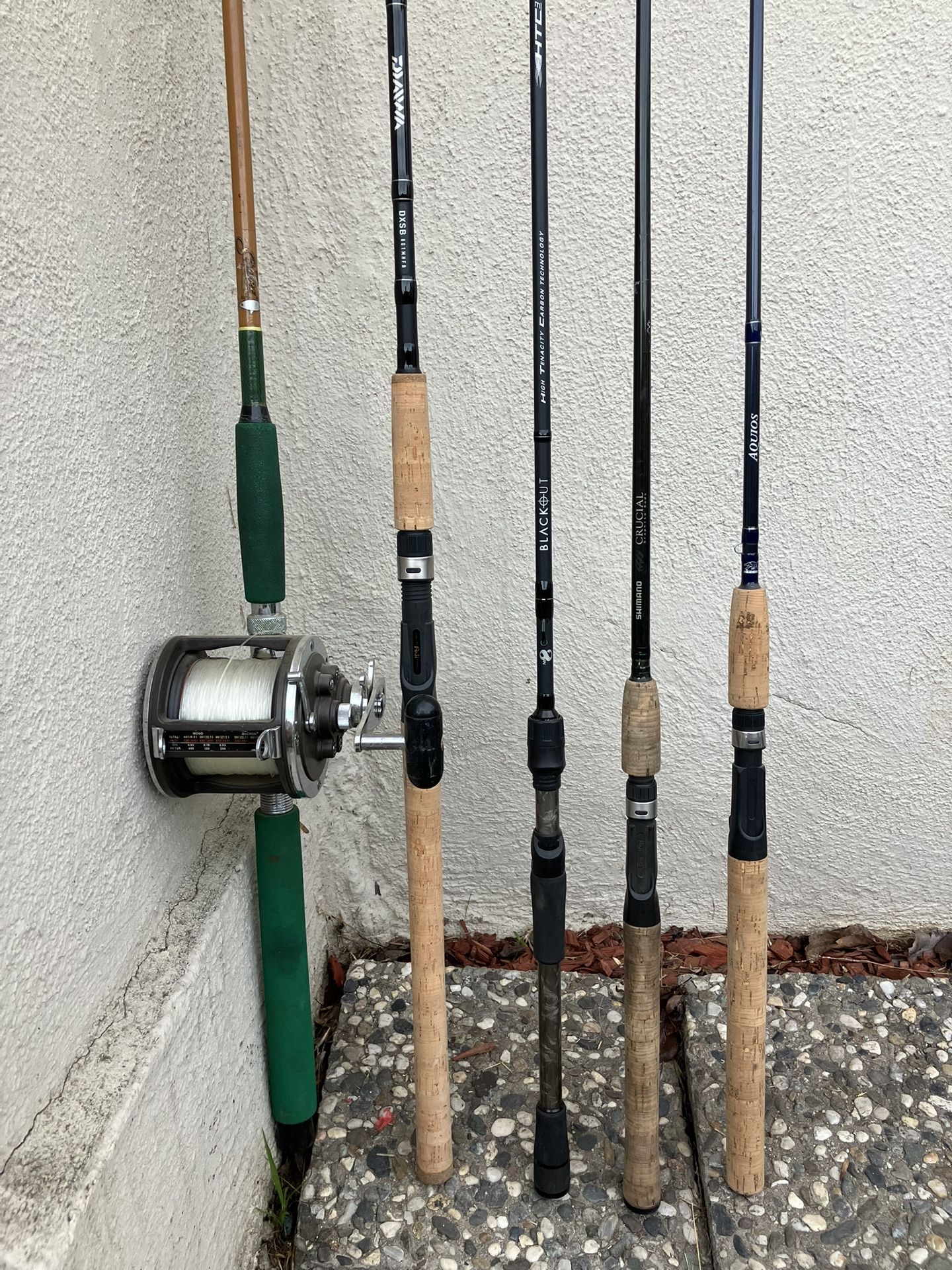 Saltwater / Inshore / Bass Fishing Rods