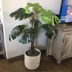 Plant Artificial 