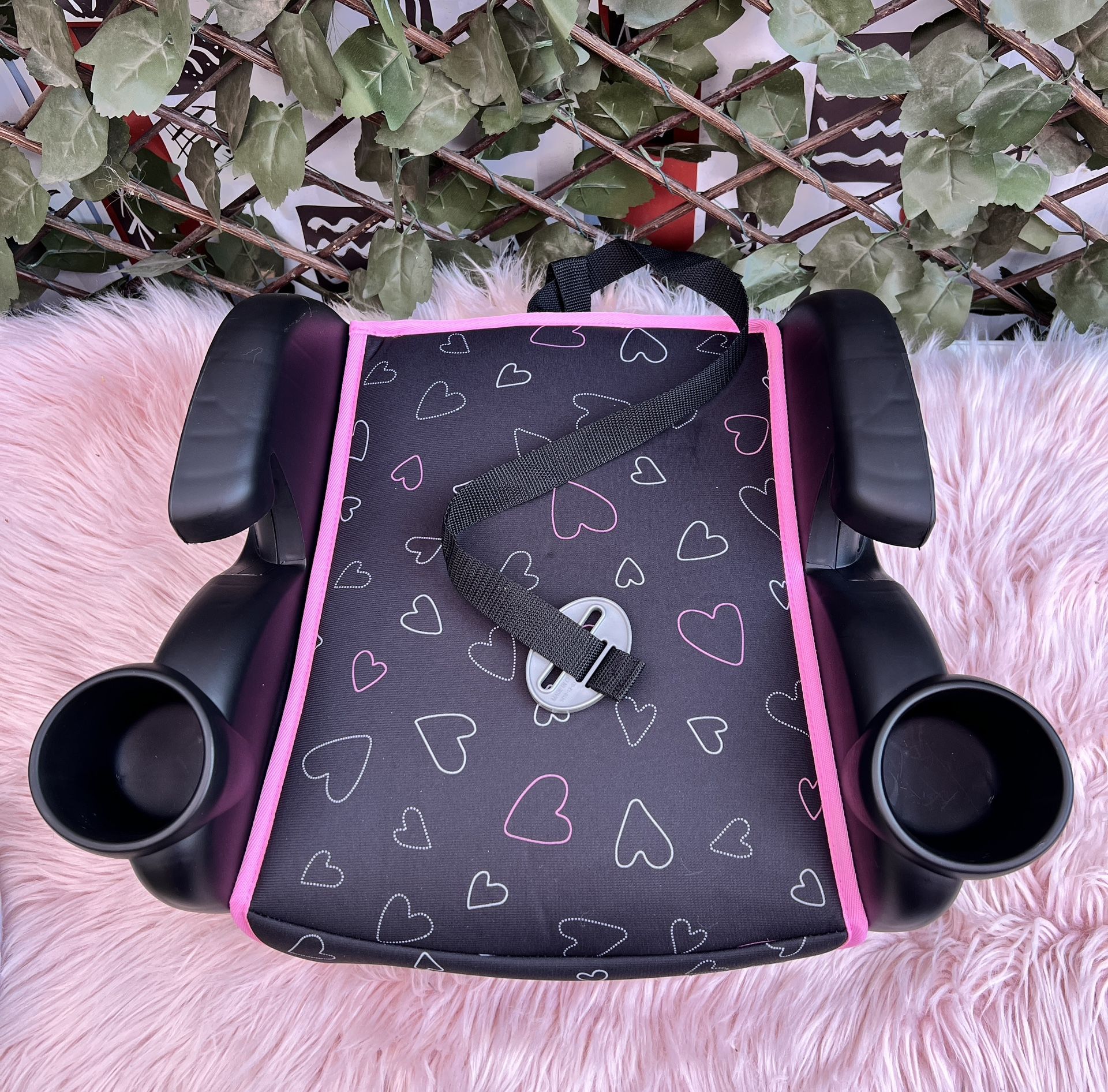 Evenflo Booster Seat 