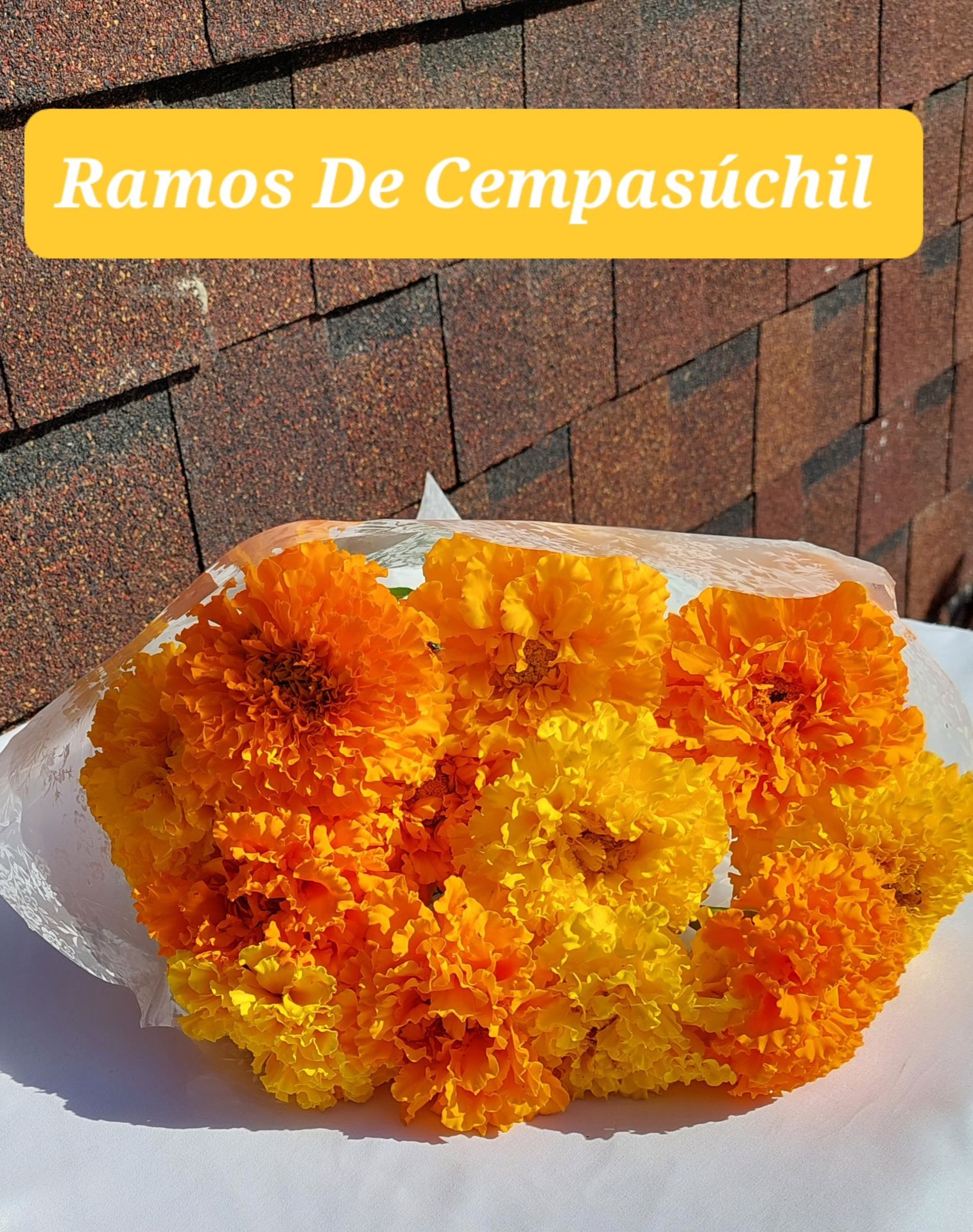 Ramona De Cempasichil Para Sus Queridos Difuntos 