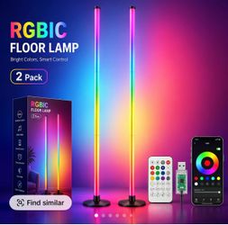 2 Floor Lamps