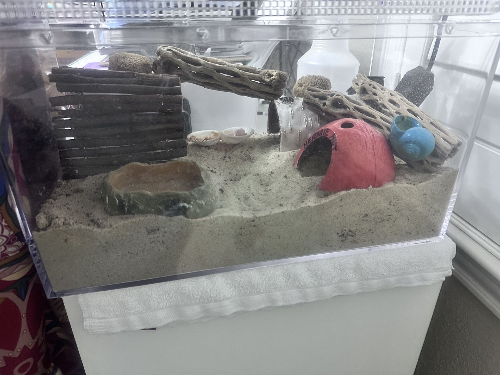 Hermit crab 10 Gallon Tank With Accessories