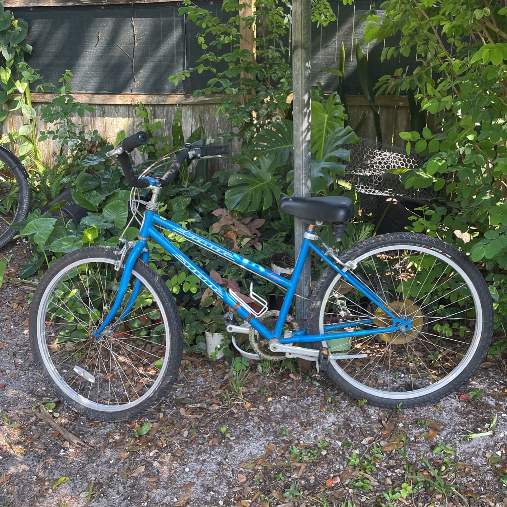 Schwinn Cruiser