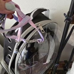 Small Leash And Back Pack 