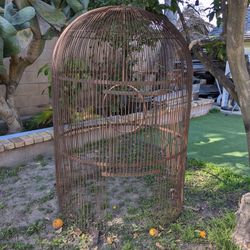 Antique Bird Cage
