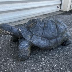Outdoor Decorative Turtle Lawn Ornament! Has a large hole in one side. Could put flowers or a plant inside. Or cover it  36x18x12in