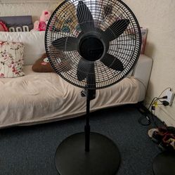 Lasko Fan