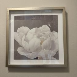 Peony Flower Wall Art With Silver Frame