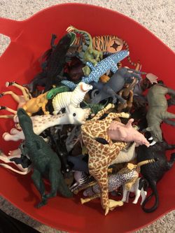 Animal Bucket