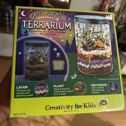 Grow & Glow Terrarium Kit