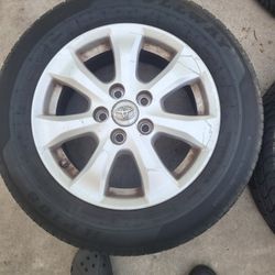 camary rims