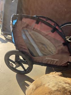 Bike and carriage