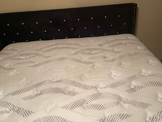 Brand new bed and mattress