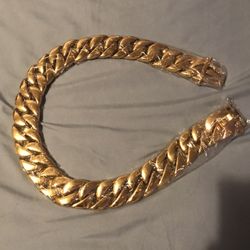 XL Gold Dog Chain, Brand New