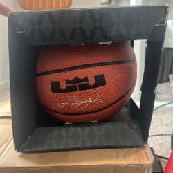 Nike LeBron 10 Diamond All courts Basketball 