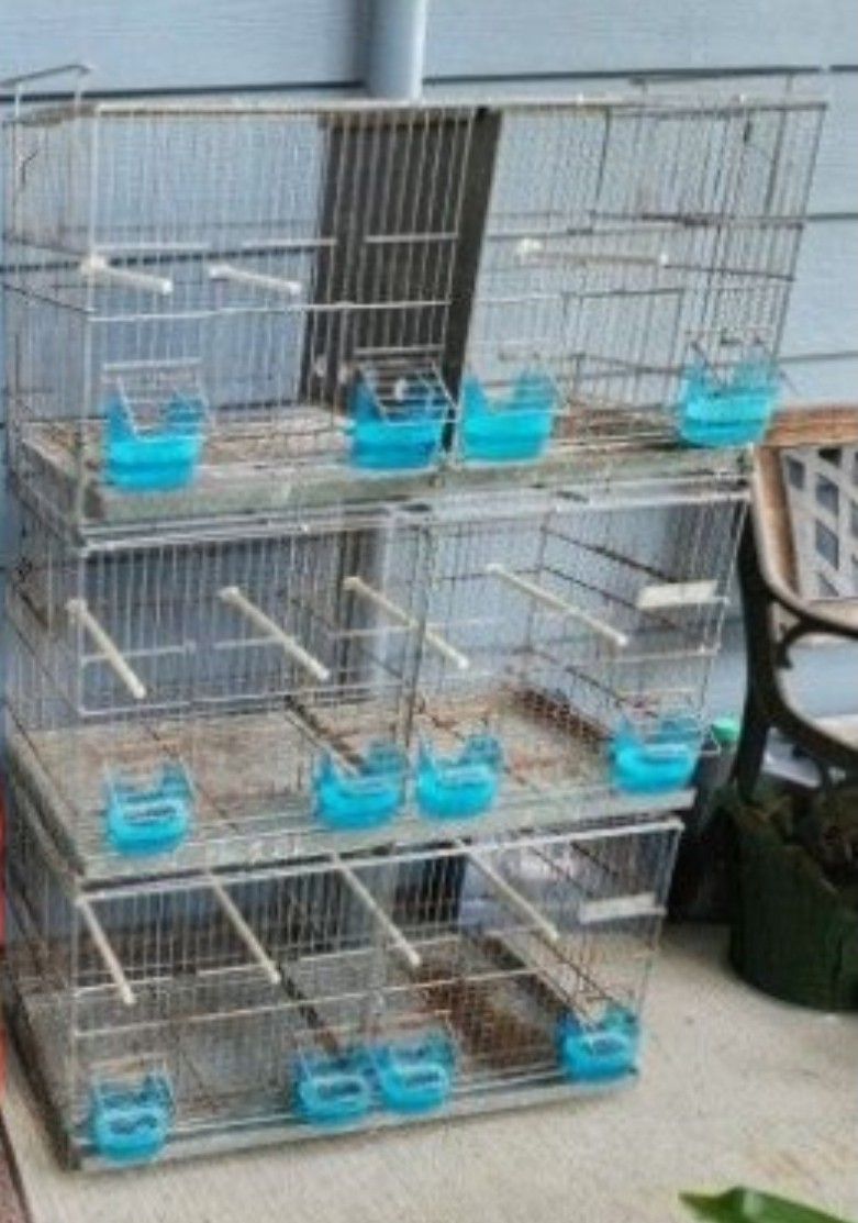 Bird Cages 
