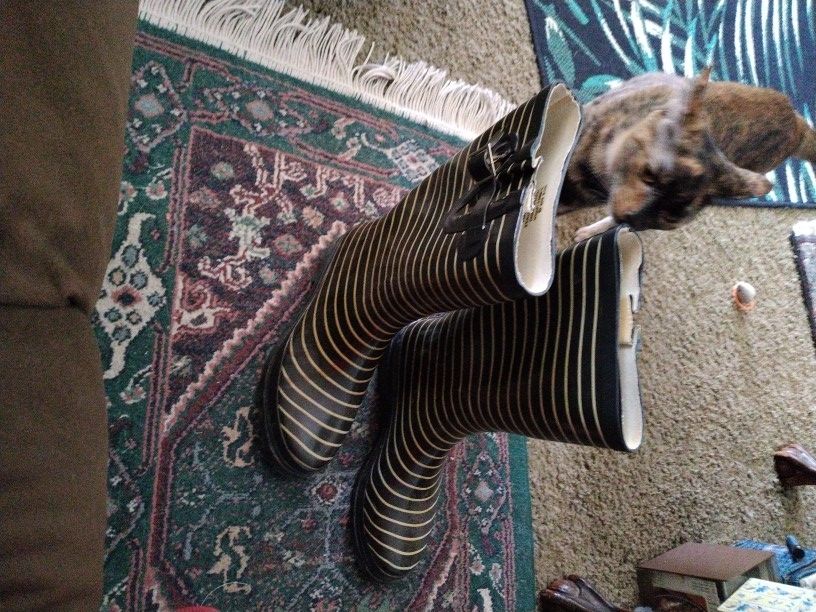 Rain Boots (10)