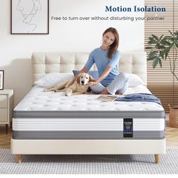 Brand New 12 Inch Memory Foam Mattress Queen Size