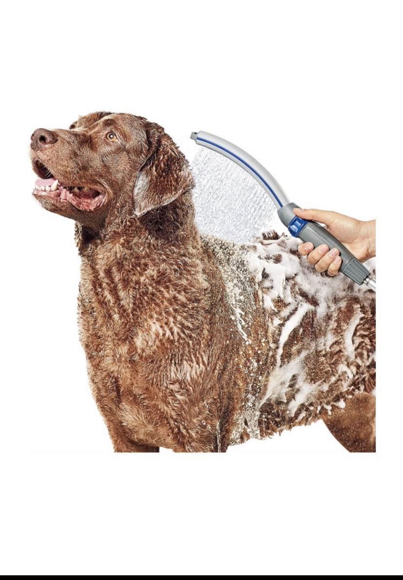 Dog Shower 