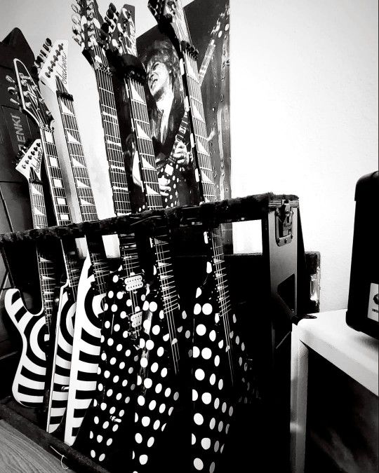 Gator GTRSTD6 Guitar Case Stand, Holds 6 Guitars