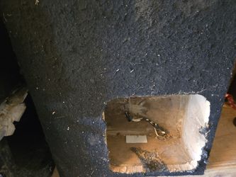 12 Inch Square Speaker Box