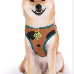 Dog Arness Size Médium Scooby Doo