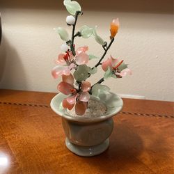Good Luck Jade Tree