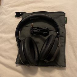 Earphones