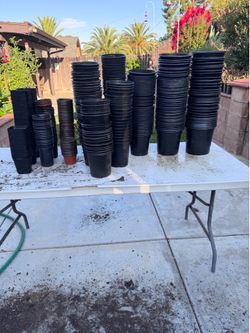 Plant pots