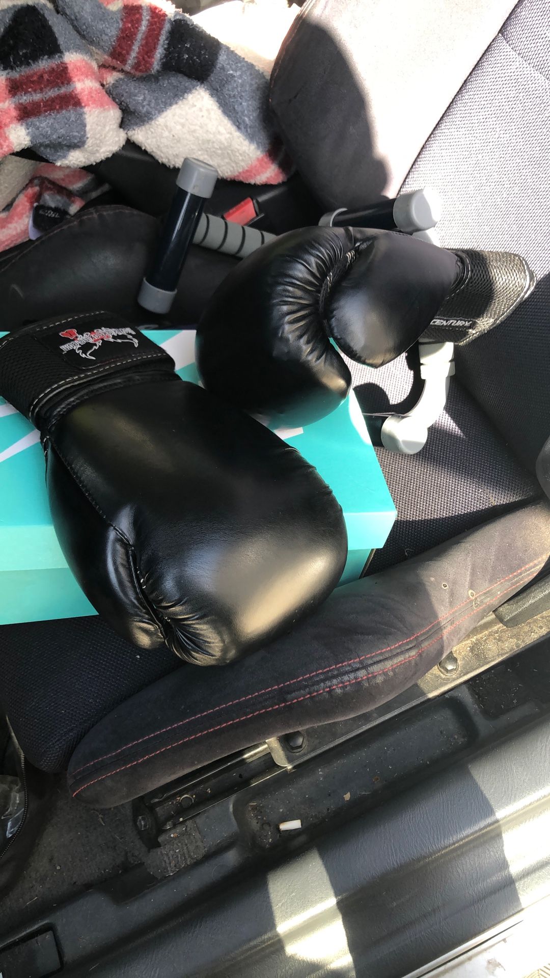 Century 8oz Boxing Gloves