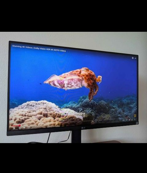 27" LG Premium Monitor