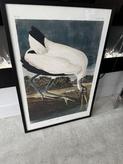 Wall Art / Picture
