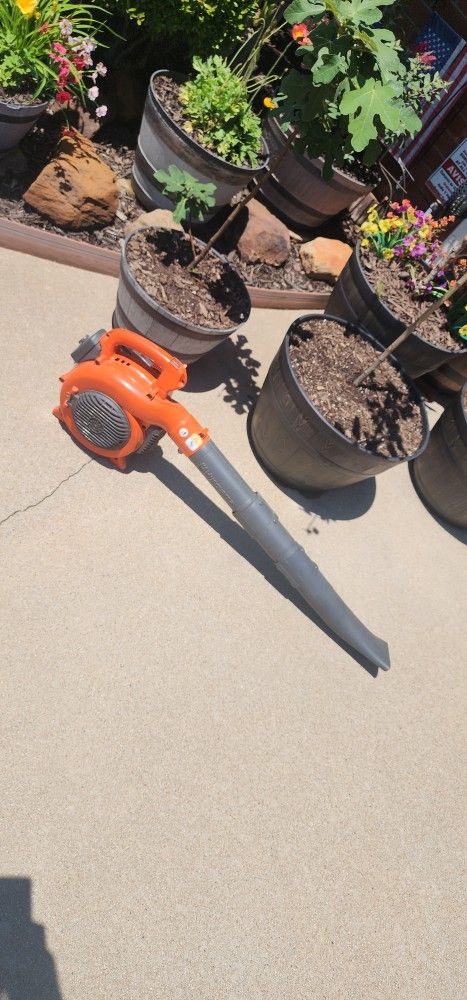 πππΏπ₯¬ππ leaf blower