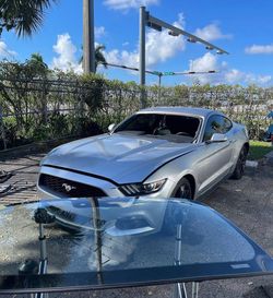 AUTOGLASS NOW