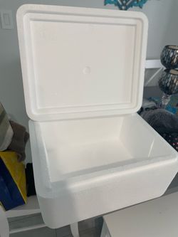 Free small styrofoam cooler