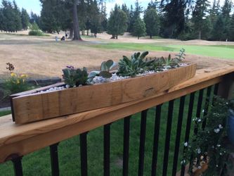 Wine Barrel Succulent Garden