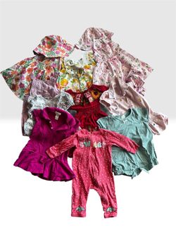 10 Piece Baby Girl Clothing Lot - Sizes 12 Months