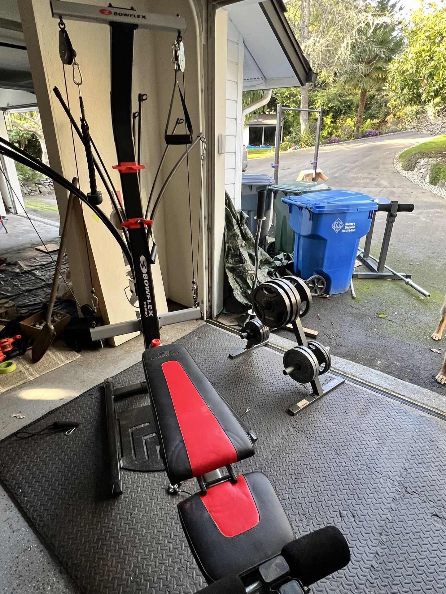 Bow flex Home Gym