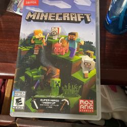 Minecraft