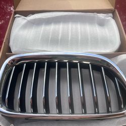 BMW Kidney grill